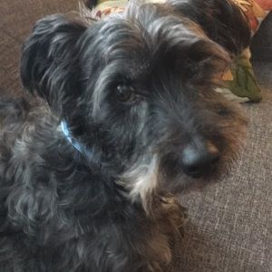 Meet your Posher, Kat